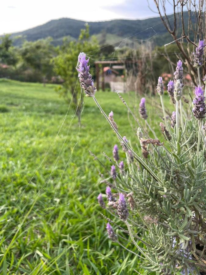 Recanto Das Flores Сан-Томе-дас-Летрас Экстерьер фото